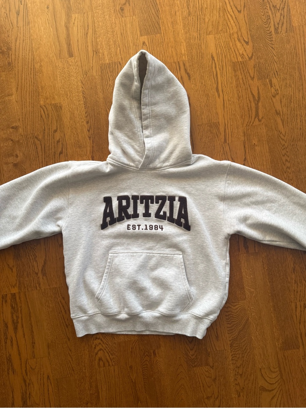 Aritzia Light Gray Hoodie with Brown Logo